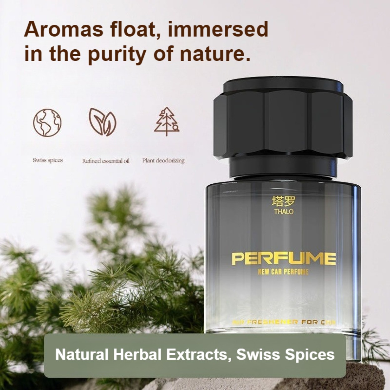 Men's Perfume: Long-Lasting, F - Perfume Scent Fragrance 评论和价格